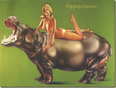 1967_Hippopotamus
