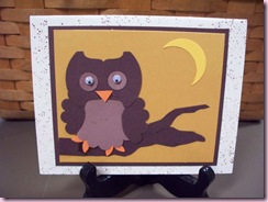 Rosie's Punchy Owl