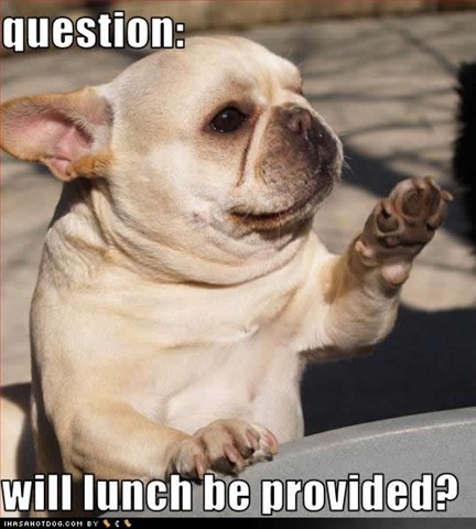 [funny-dog-pictures-lunch-provided[3].jpg]