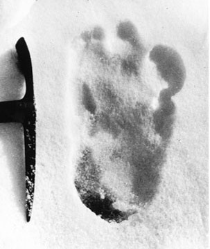 [yeti_footprint[5].jpg]