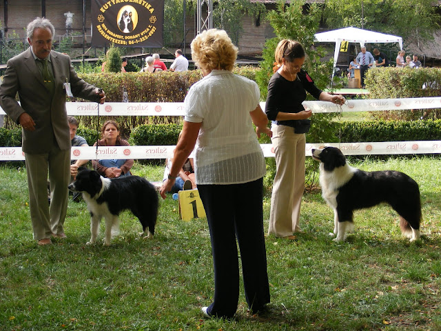 K%C3%A9p%20119.jpg