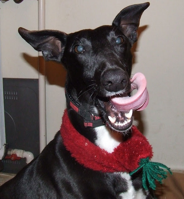 DSCF4108.JPG