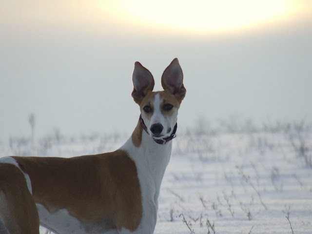 DSCF3895.JPG