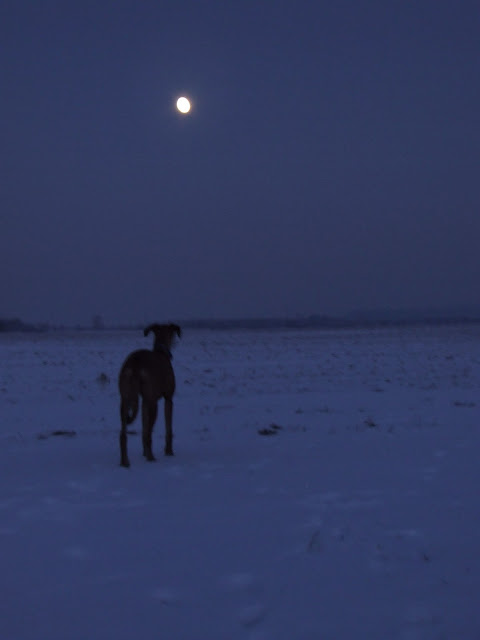 DSCF4615.JPG