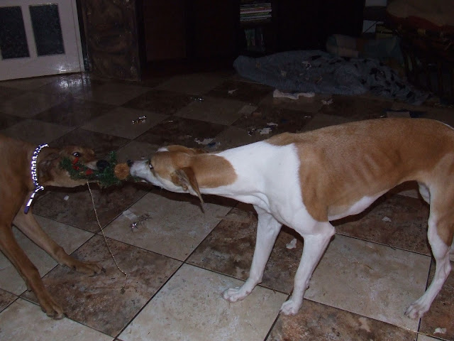 DSCF4733.JPG