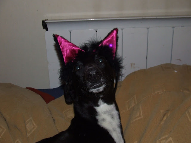DSCF4797.JPG