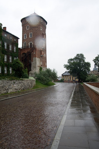 IMG_8085.jpg