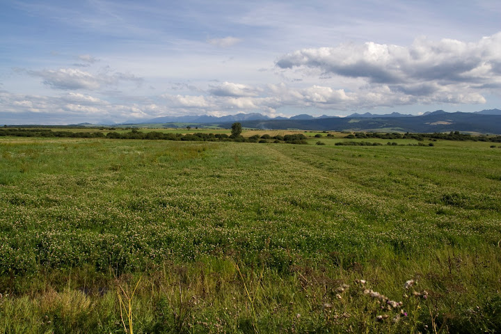 IMG_8216.jpg