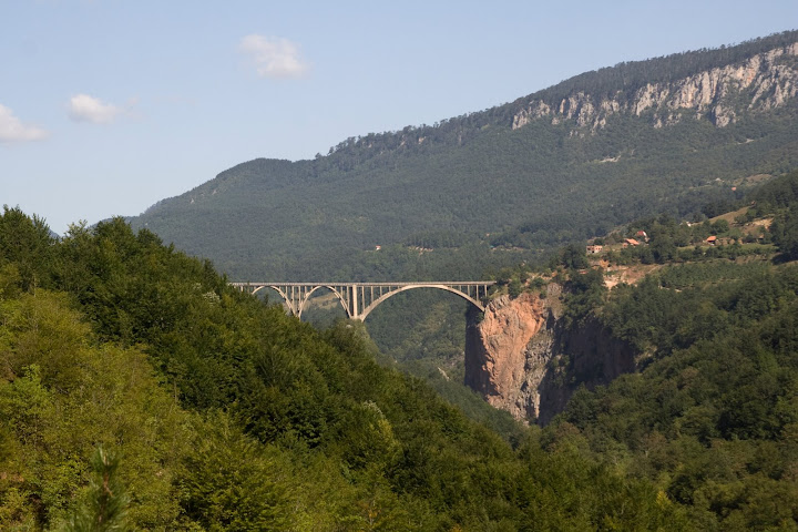 IMG_8497.jpg
