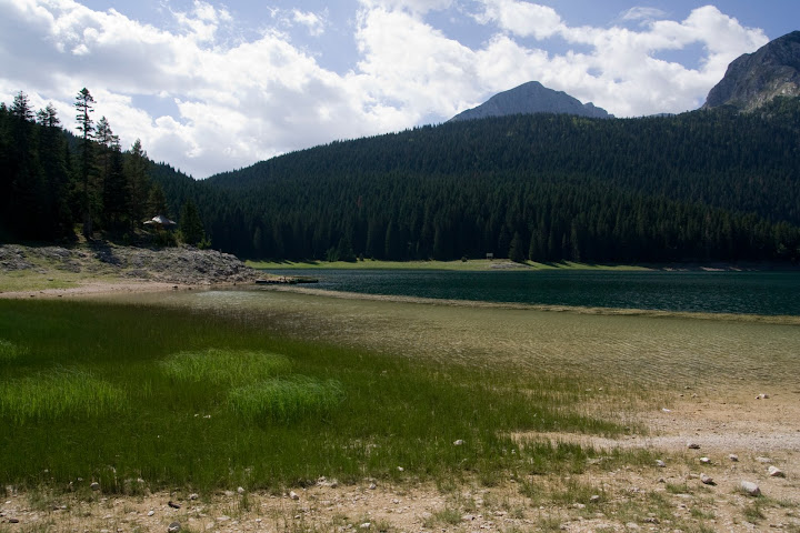 IMG_8568.jpg