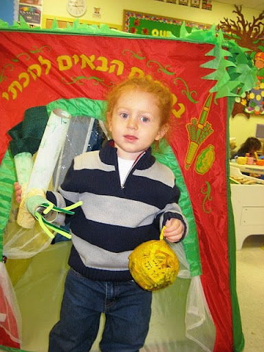 Shaking lulav and esrog in fromt of