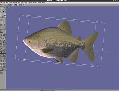 anim8or free 3d modeler freeware for 3d modeling texturing and animation