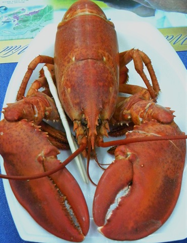 [lobster cooked (2)[12].jpg]