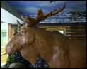lenny moose (5)