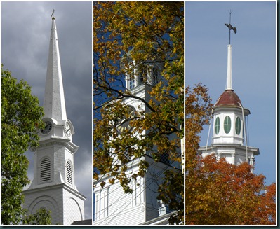 steeple-tree collage