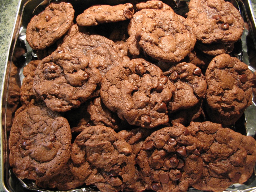 [cocoa choc chips done (1)[9].jpg]