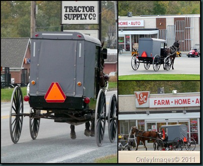 tractor supply collage