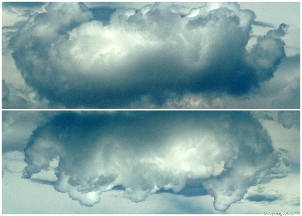 [cloud collage[12].jpg]