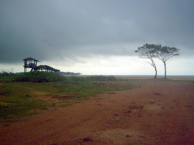 PICT0307.JPG