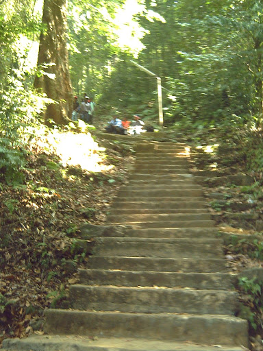 PICT0031.JPG