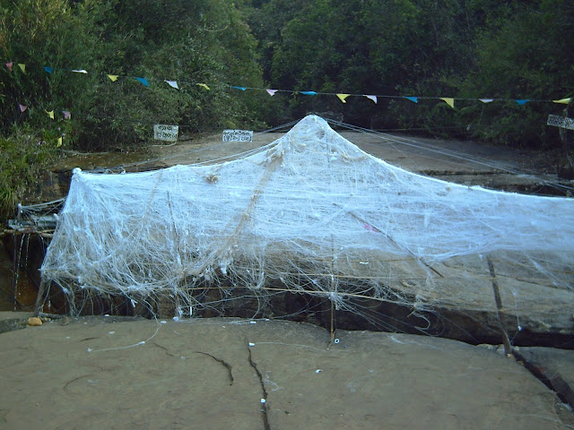 PICT0080.JPG