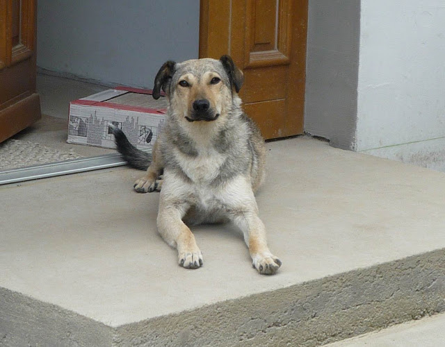 P1350015.JPG