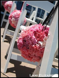 Carnations pink