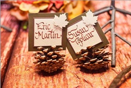 pinecone place cards