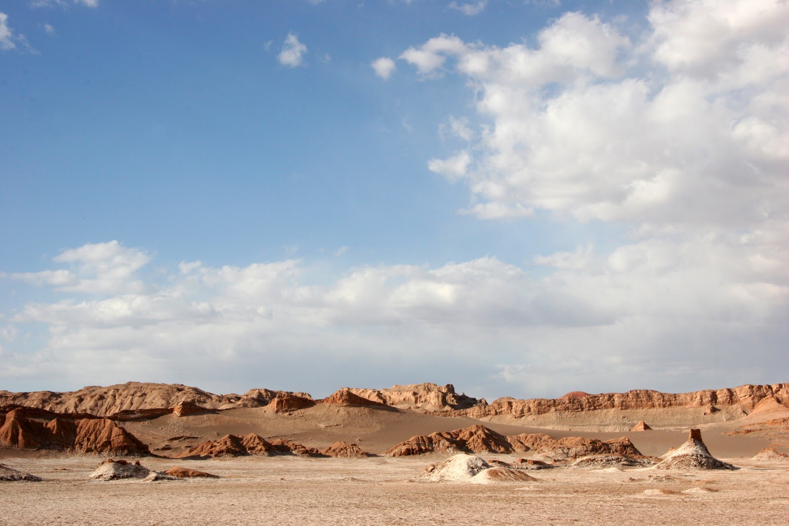 DelightfulNature_63.jpg