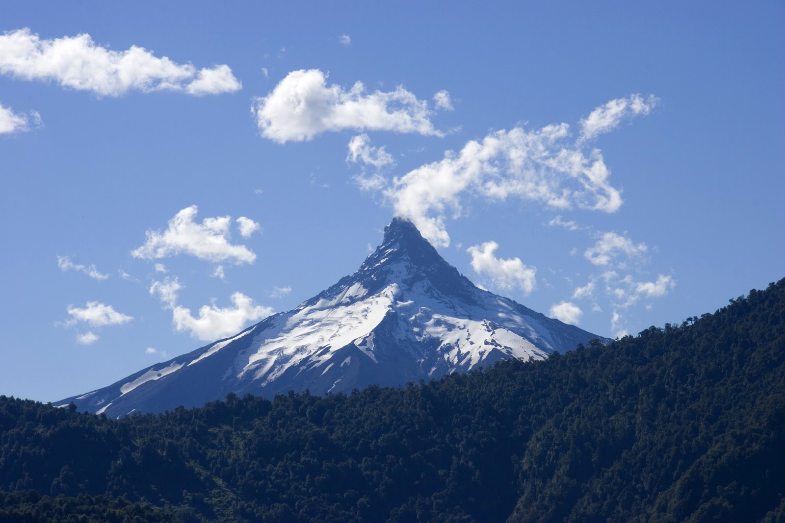 DelightfulNature_113.jpg