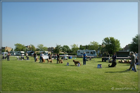 uebb_DSC039081.jpg