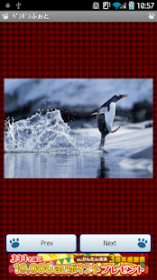How to install ペンギンふぉと lastet apk for laptop