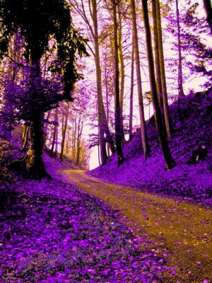 World__s_more_fun_Purple_by_Millefiora.j