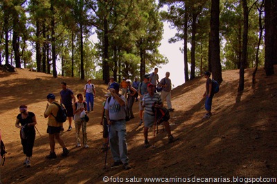 1325 C.Tejeda-Valsendero 1325 C.Tejeda-Valsendero