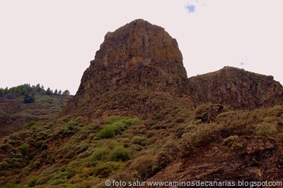 1361 Los Barrancos(Roque del Pino) 1361 Los Barrancos(Roque del Pino)