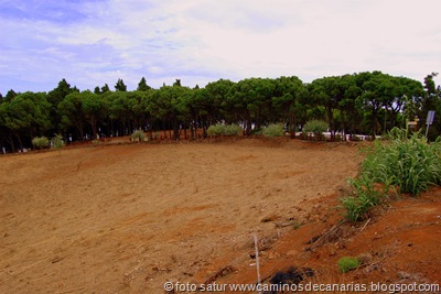 1448 Pinos de Gáldar-Gáldar 1448 Pinos de Gáldar-Gáldar