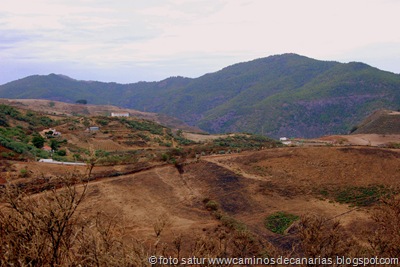1449 Pinos de Gáldar-Gáldar 1449 Pinos de Gáldar-Gáldar
