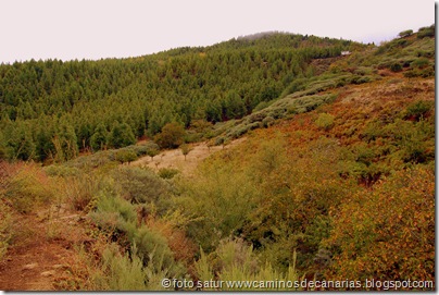 1474 Dda. Becerra-La Siberia 1474 Dda. Becerra-La Siberia