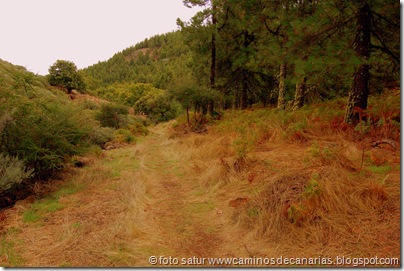 1475 Dda. Becerra-La Siberia 1475 Dda. Becerra-La Siberia