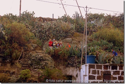 1546 S.Juan(Guía)-Moya 1546 S.Juan(Guía)-Moya