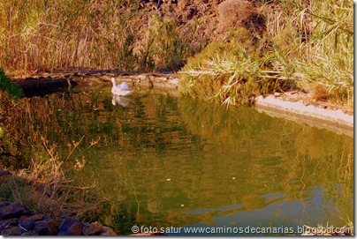 1712 Tasartico-Güi Güi 1712 Tasartico-Güi Güi