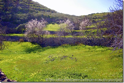 2077 Valsequillo-Valle San Roque 2077 Valsequillo-Valle San Roque