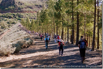 2359 Cascajales-Ingenio 2359 Cascajales-Ingenio