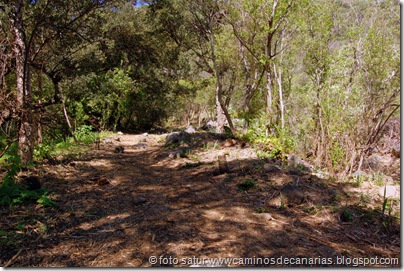 2343 Barranco Cernícalos 2343 Barranco Cernícalos