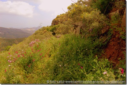 2617 Valsequillo-San Roque 2617 Valsequillo-San Roque