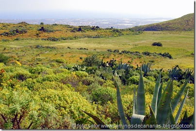2493 Camino de la lava 2493 Camino de la lava