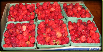 basket of raspberries.jpeg
