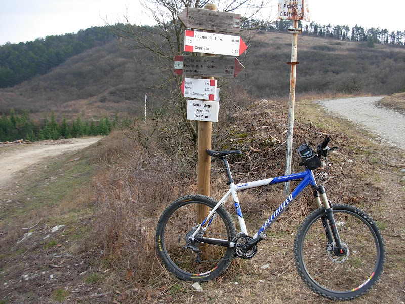 DSCN0035.JPG