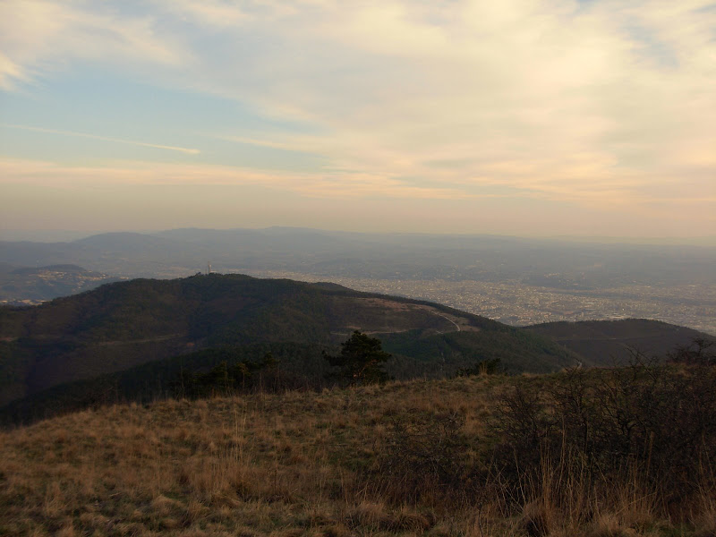DSCN0202.JPG