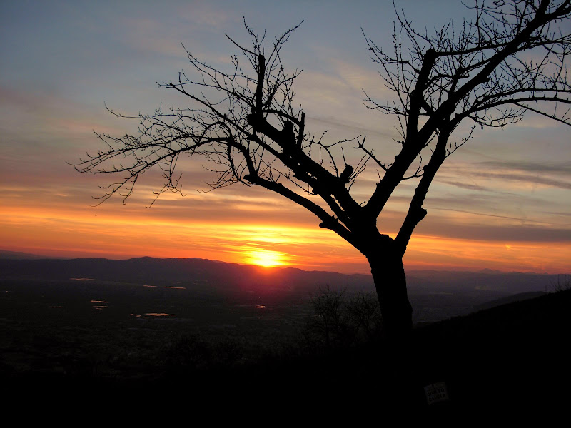 DSCN0216.JPG